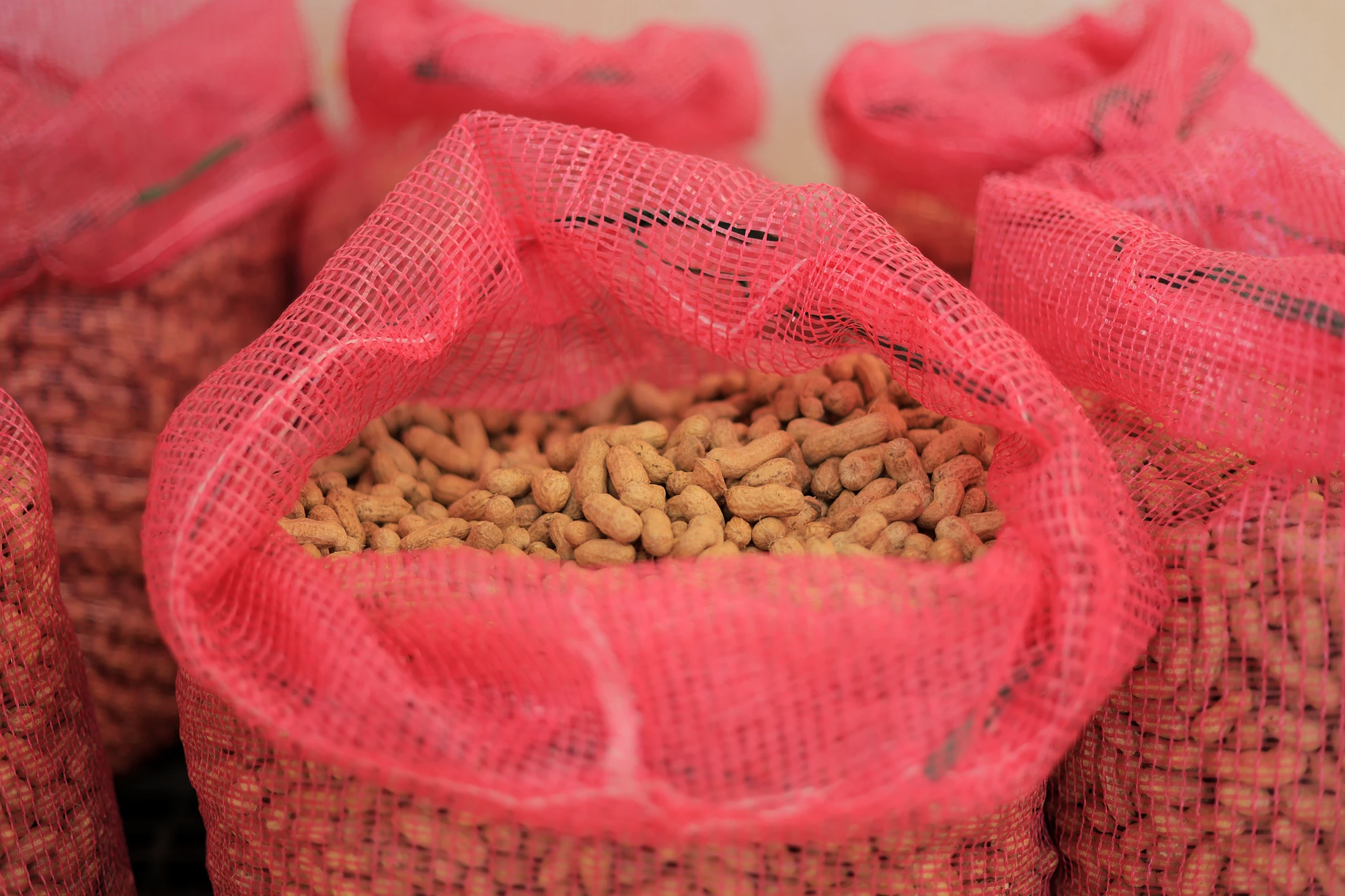 Open mesh sack of export-grade Ugandan groundnuts