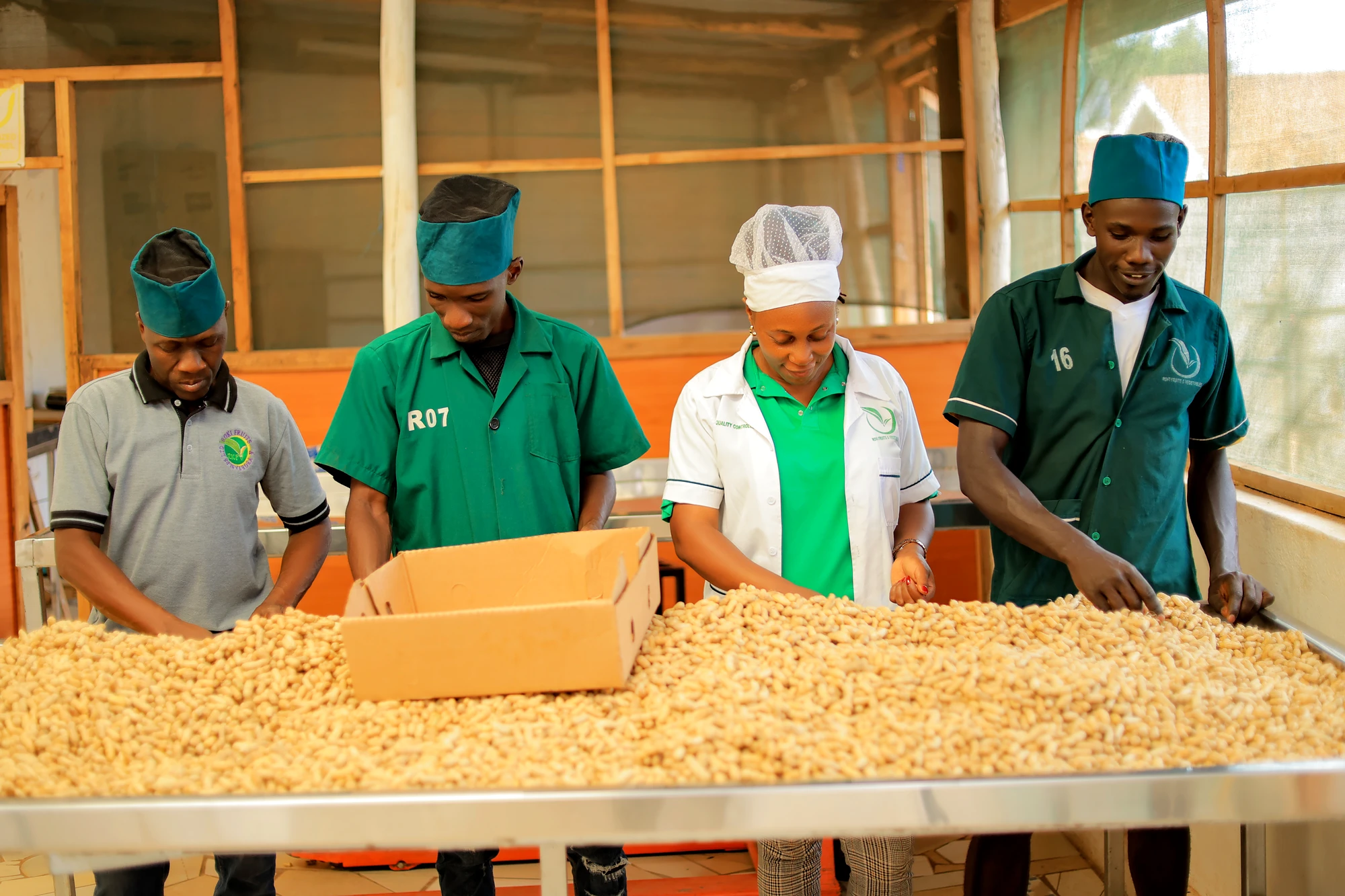 Sorting team grading groundnuts at the table
