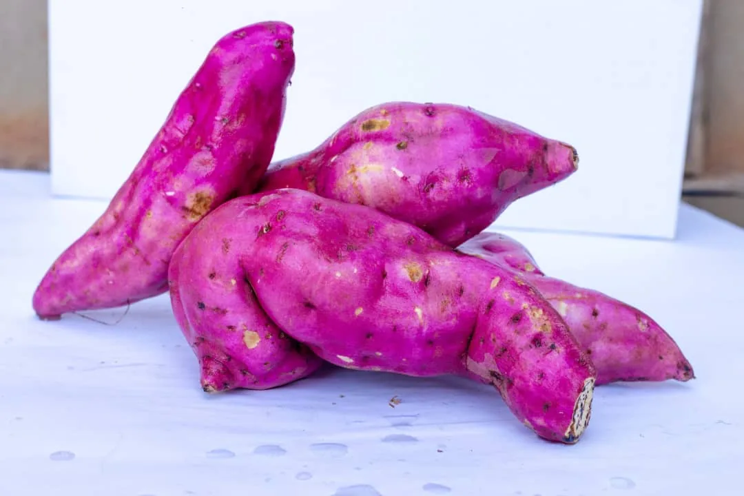 Fresh red-skinned sweet potatoes with vibrant magenta skins
