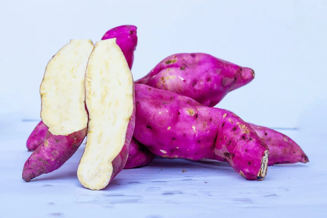 Red sweet potato cut open showing pale cream flesh