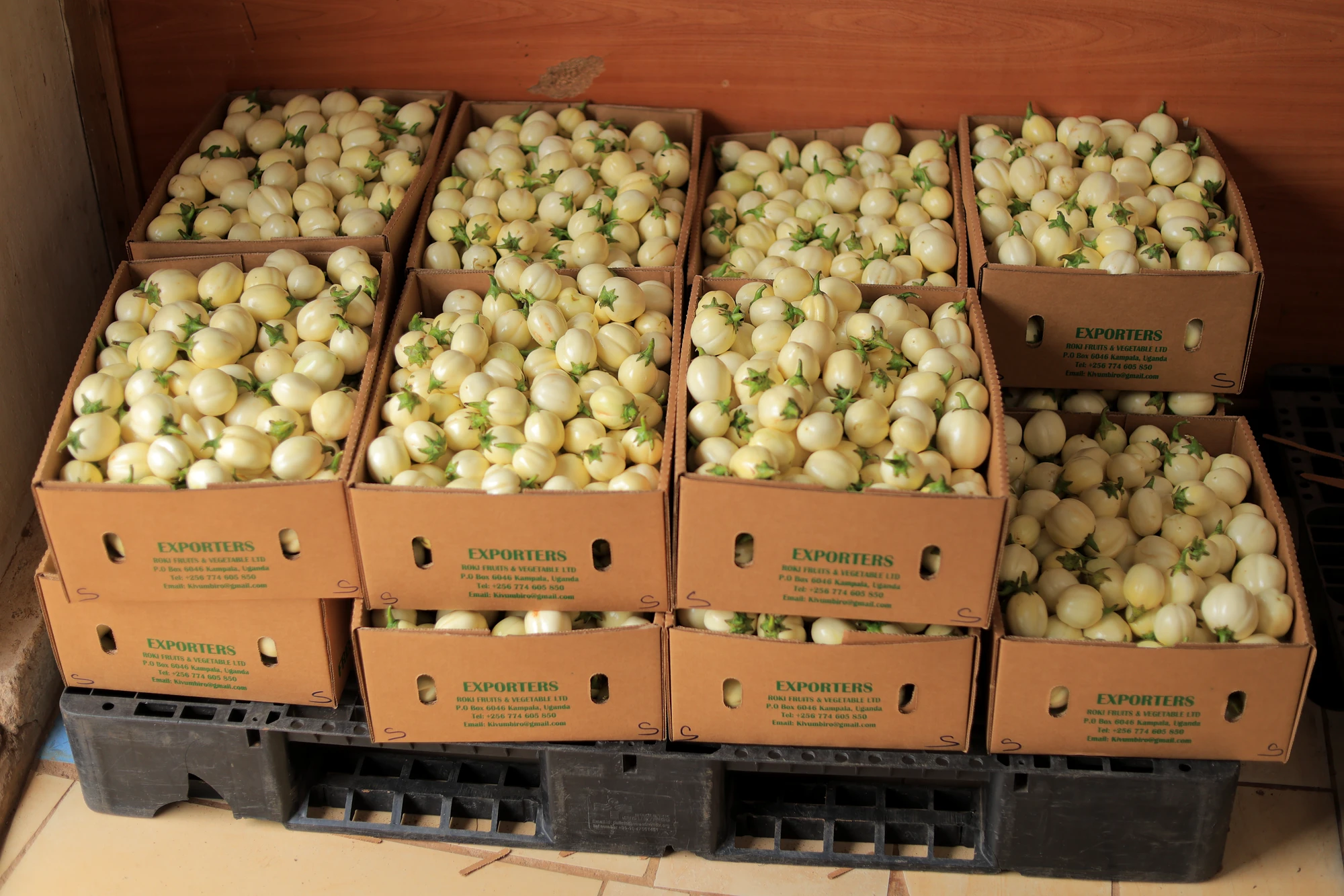Export cartons printed with the Roki Fruits and Vegetables Najjanankumbi address