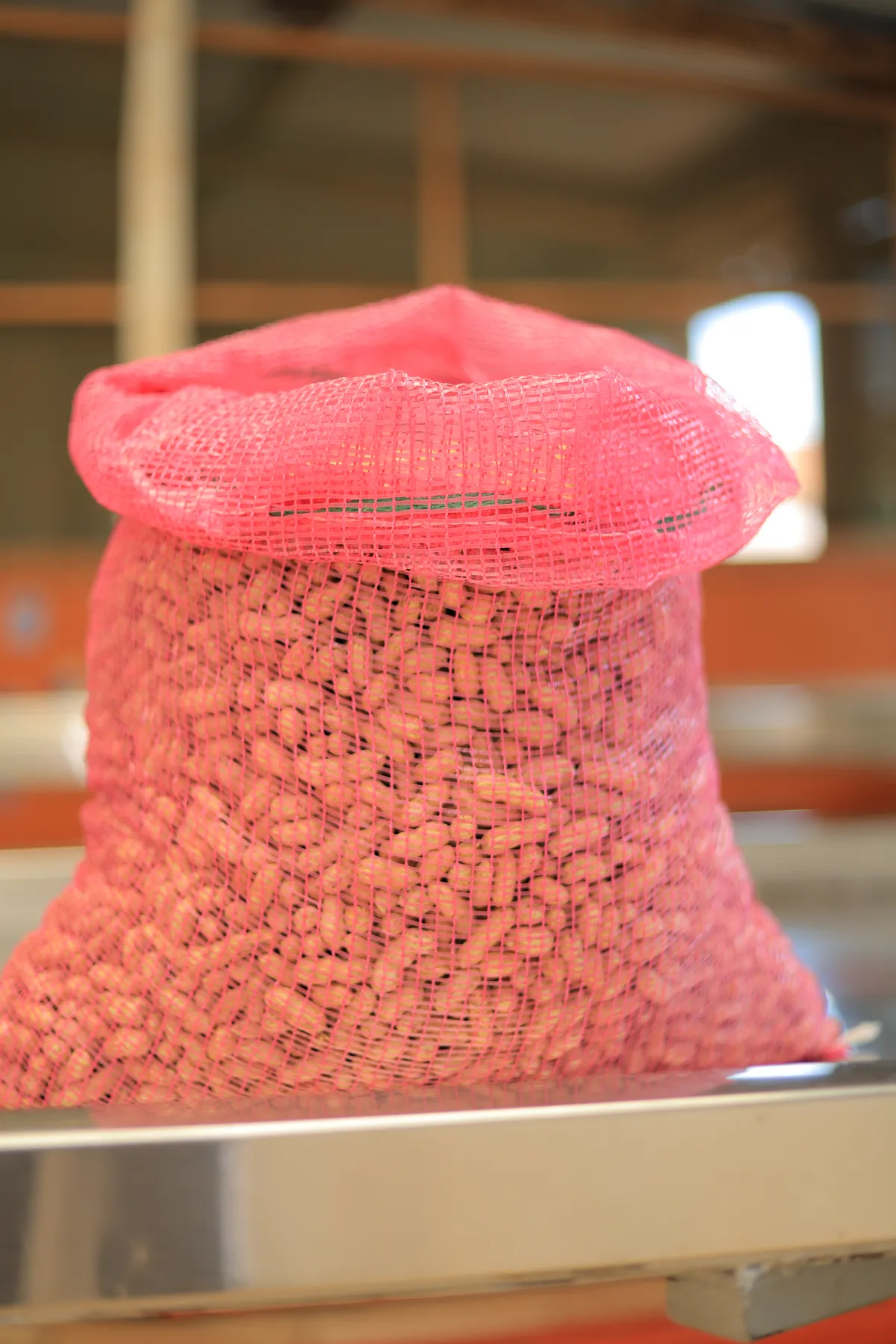 A lot of groundnuts being weighed against its grade sheet at the Najjanankumbi packhouse