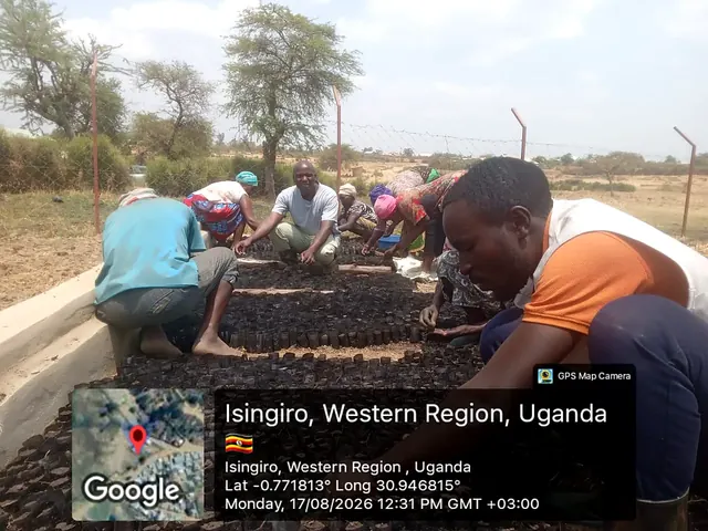 Participants preparing nursery growing media and sowing seeds during a field activity in Isingiro, Western Uganda.