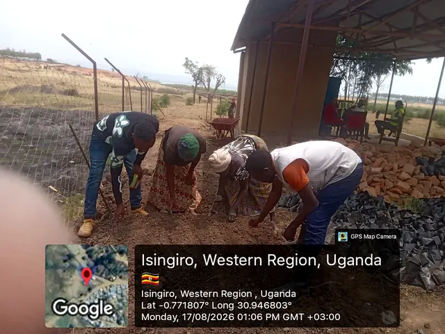 Participants preparing nursery growing media and sowing seeds during a field activity in Isingiro, Western Uganda.