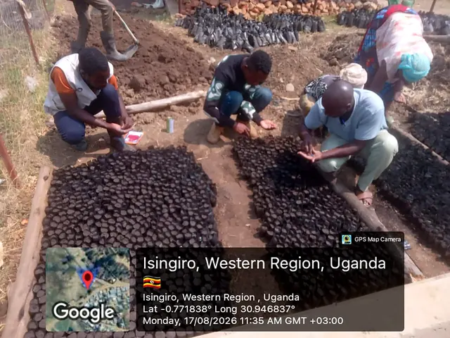 Participants preparing nursery growing media and sowing seeds during a field activity in Isingiro, Western Uganda.