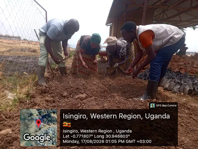Participants preparing nursery growing media and sowing seeds during a field activity in Isingiro, Western Uganda.