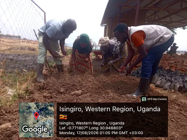 Participants preparing nursery growing media and sowing seeds during a field activity in Isingiro, Western Uganda.