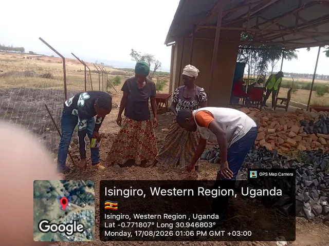 Participants preparing nursery growing media and sowing seeds during a field activity in Isingiro, Western Uganda.