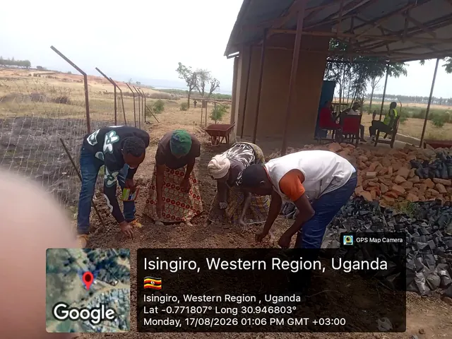 Participants preparing nursery growing media and sowing seeds during a field activity in Isingiro, Western Uganda.