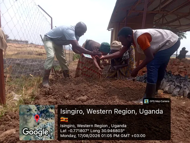 Participants preparing nursery growing media and sowing seeds during a field activity in Isingiro, Western Uganda.