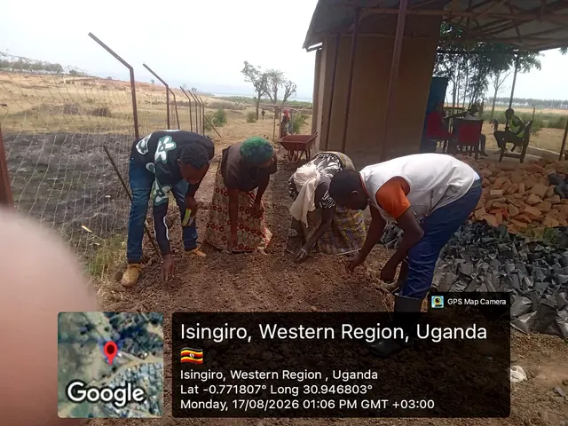 Participants preparing nursery growing media and sowing seeds during a field activity in Isingiro, Western Uganda.