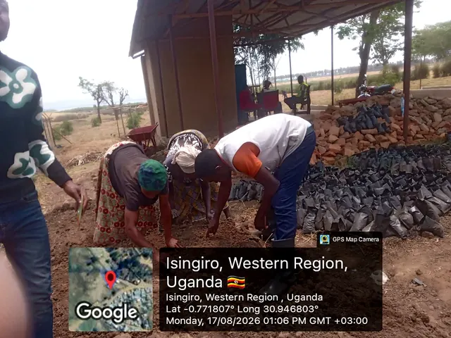 Participants preparing nursery growing media and sowing seeds during a field activity in Isingiro, Western Uganda.