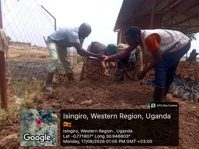 Participants preparing nursery growing media and sowing seeds during a field activity in Isingiro, Western Uganda.