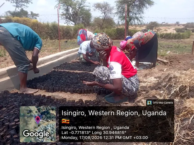 Participants preparing nursery growing media and sowing seeds during a field activity in Isingiro, Western Uganda.