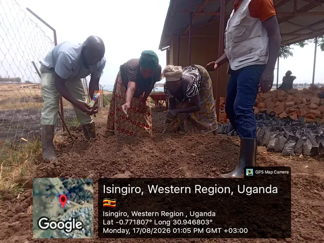 Participants preparing nursery growing media and sowing seeds during a field activity in Isingiro, Western Uganda.