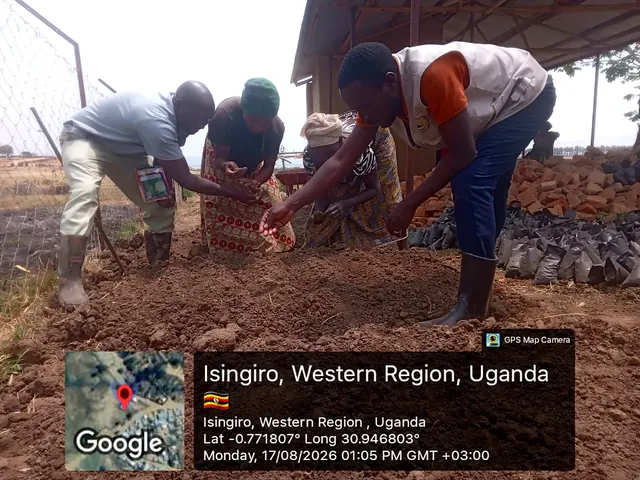 Participants preparing nursery growing media and sowing seeds during a field activity in Isingiro, Western Uganda.