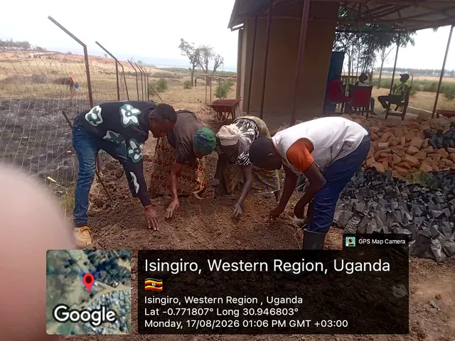 Participants preparing nursery growing media and sowing seeds during a field activity in Isingiro, Western Uganda.