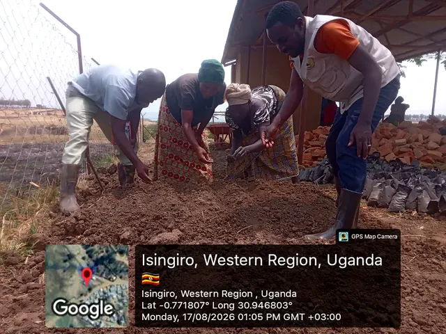 Participants preparing nursery growing media and sowing seeds during a field activity in Isingiro, Western Uganda.