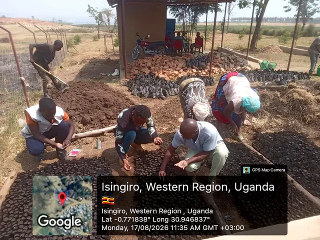Participants preparing nursery growing media and sowing seeds during a field activity in Isingiro, Western Uganda.