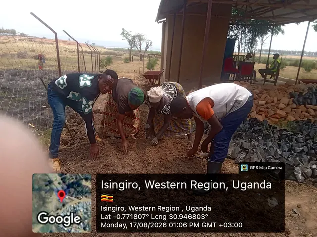 Participants preparing nursery growing media and sowing seeds during a field activity in Isingiro, Western Uganda.