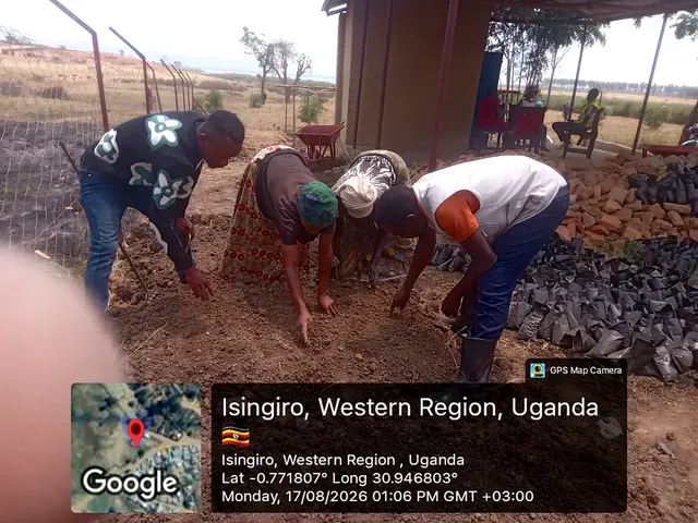 Participants preparing nursery growing media and sowing seeds during a field activity in Isingiro, Western Uganda.