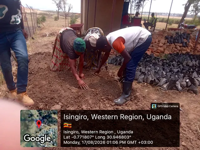 Participants preparing nursery growing media and sowing seeds during a field activity in Isingiro, Western Uganda.