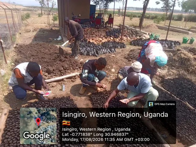 Participants preparing nursery growing media and sowing seeds during a field activity in Isingiro, Western Uganda.