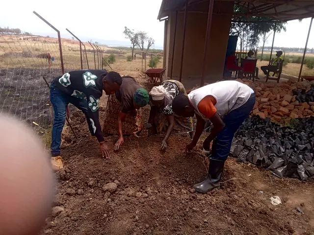 Seed-sowing activity in Isingiro