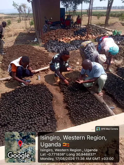 Participants preparing nursery growing media and sowing seeds during a field activity in Isingiro, Western Uganda.