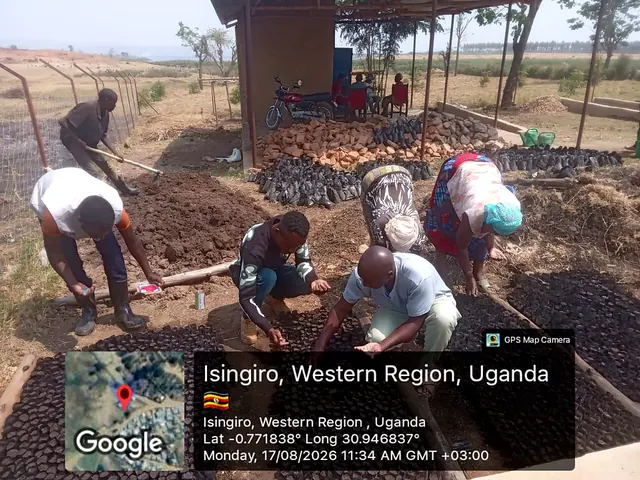 Participants preparing nursery growing media and sowing seeds during a field activity in Isingiro, Western Uganda.