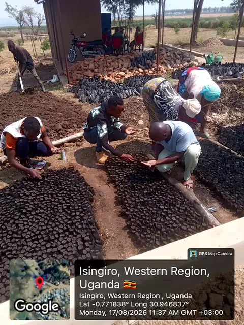 Participants preparing nursery growing media and sowing seeds during a field activity in Isingiro, Western Uganda.
