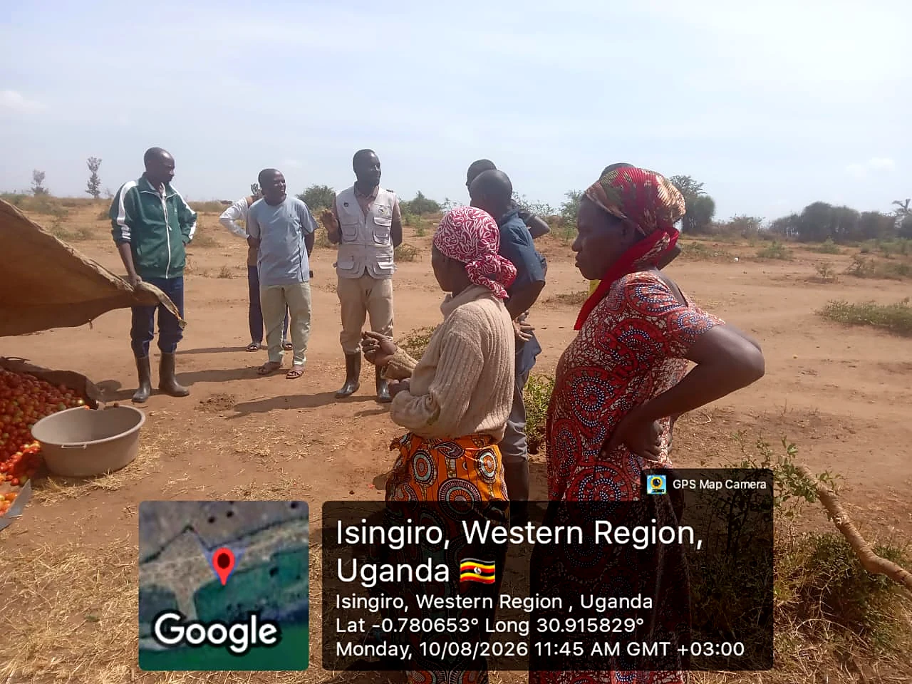 Field discussion beside freshly harvested produce in Isingiro