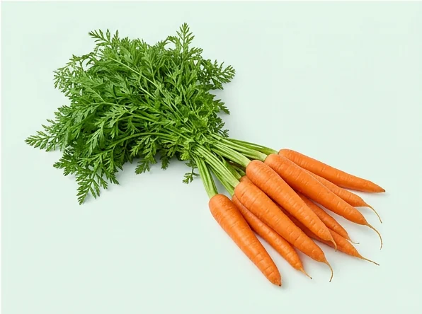 Representative product image of fresh carrots with leafy tops