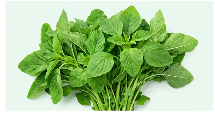 Representative product image of fresh dodo amaranth greens