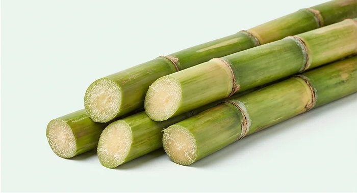 Representative product image of freshly cut sugarcane stalks
